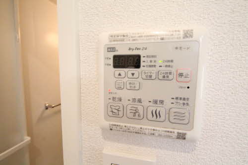 ケンタッキーブルーグラス 0103号-12