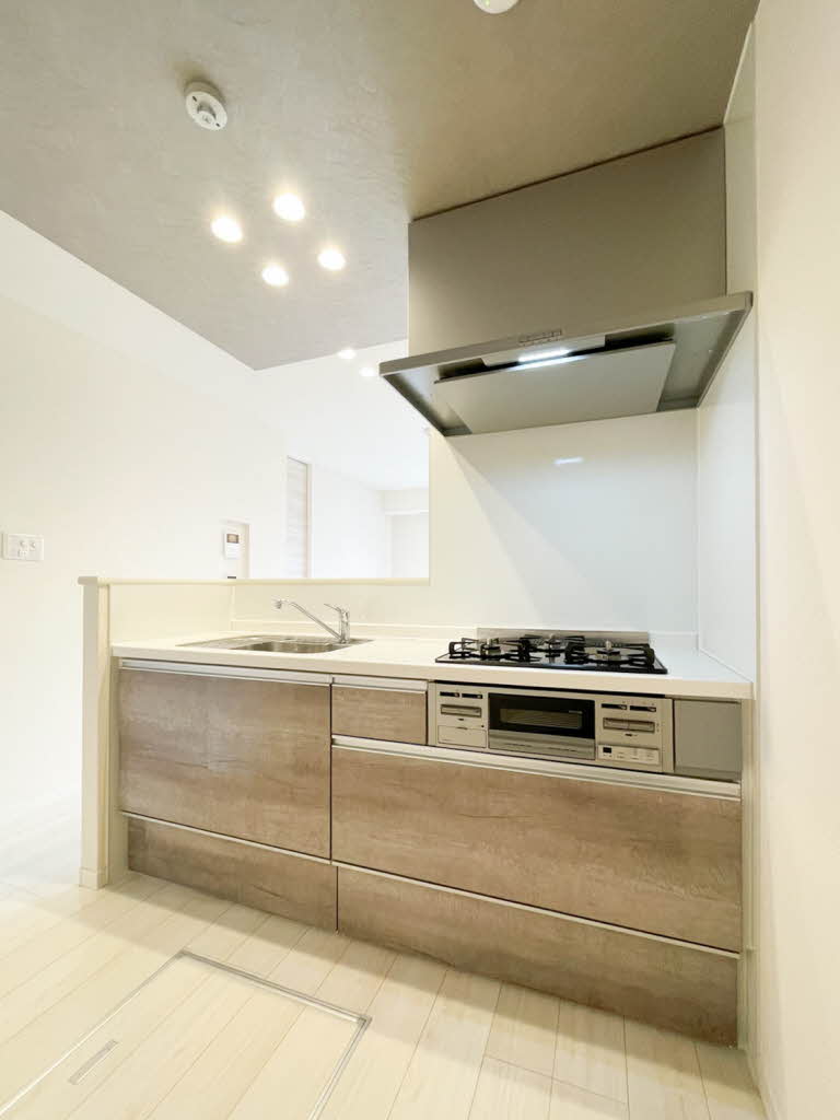 ルミソル 0101号-3