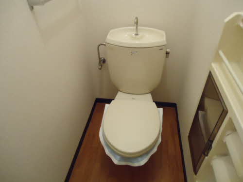 エスコートグリーン B202号-11