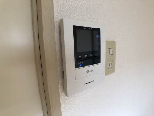 エスコートグリーン B203号-10