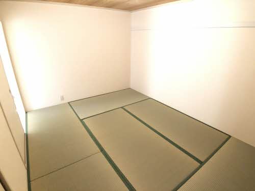 エスコートグリーン B203号-15