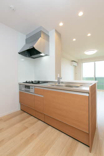 プレジールⅡ 0206号-8