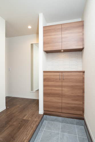 ＳｈａＭａｉｓｏｎ　ｖｉｏｌａ 0101号-6