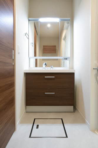 ＳｈａＭａｉｓｏｎ　ｖｉｏｌａ 0101号-9