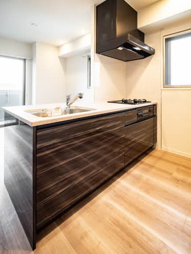 ＳＫＹ　ＭＡＩＳＯＮ　京都西院 0701号-10