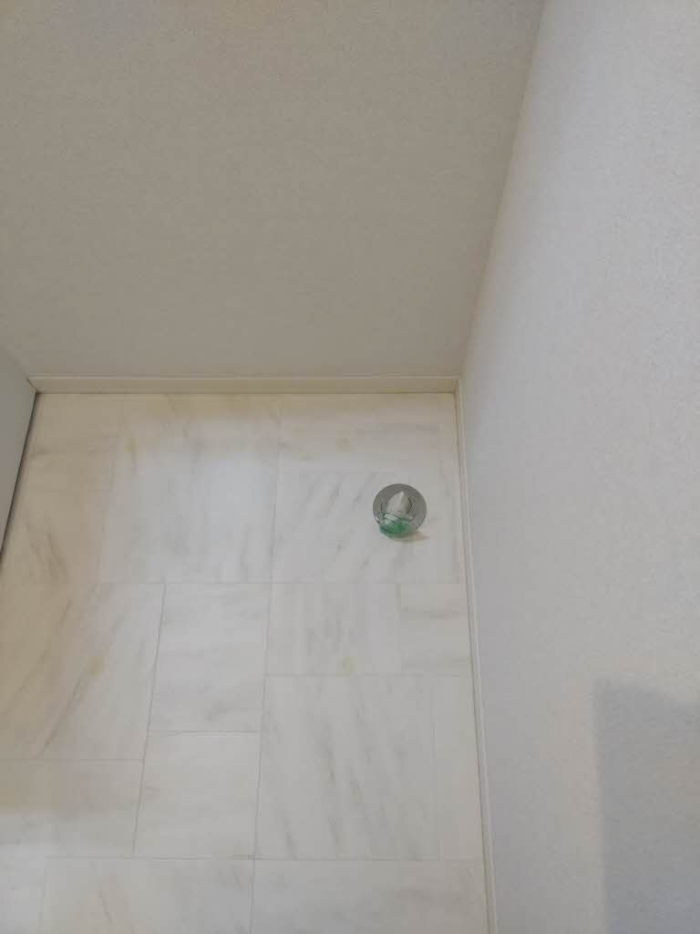 シャーメゾン岩喜 0202号-11