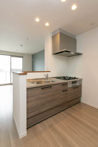 シャーメゾンシャルム磯上 0201号-9