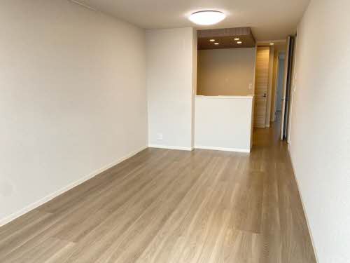 シャーメゾン丸の内 0303号-3