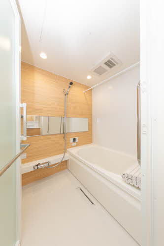 Ｓｈａｍａｉｓｏｎ　Ｌａ　Ｇｌｙｃｉｎｅ 0103号-9