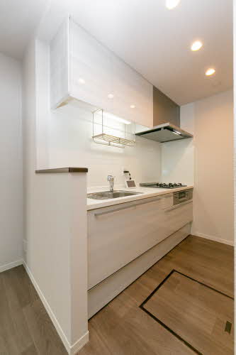 Ｓｈａｍａｉｓｏｎ　Ｌａ　Ｇｌｙｃｉｎｅ 0103号-10