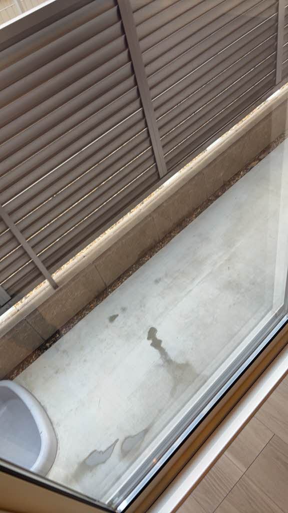 シェーンブルンⅡ 0106号-14