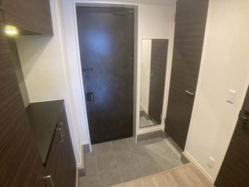 ＳＵＰＲＥＭＥ 0105号-2