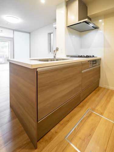 ラフィーネ下鴨 0101号-8