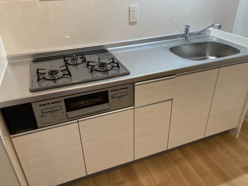 ピュアレイ 0101号-5