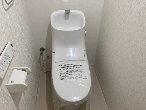 ピュアレイ 0101号-7