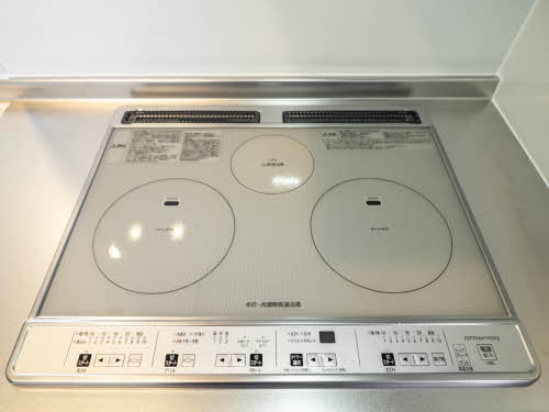 ザ フジイ ガーデンB B205号-11