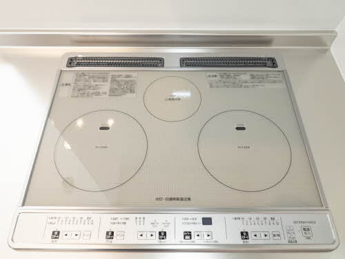 ザ フジイ ガーデンC・D C203号-9