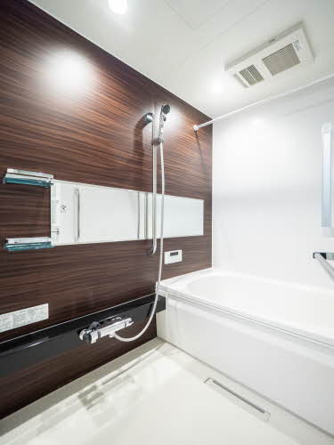 ＳｈａＭａｉｓｏｎ　Ａｖｅｒｌａ 0202号-8