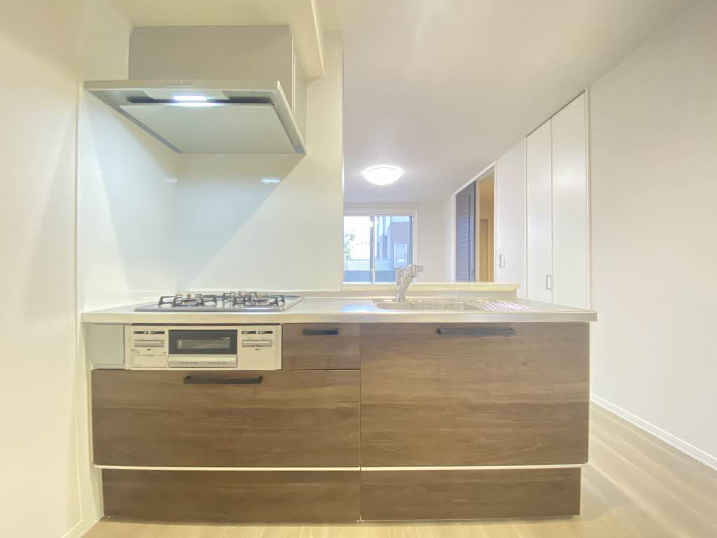 セルディーナ 0103号-5