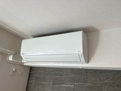 Ｓｈａｍａｉｓｏｎ　Ｎｏｉｒ 0101号-7