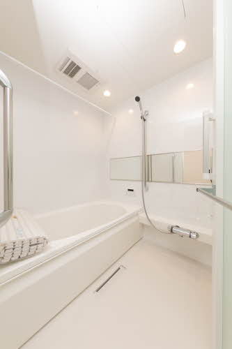 ＳｈａＭａｉｓｏｎ　Ｌａ　Ｎａｕａｇｅ 0203号-8