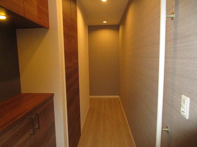 RADIANCE MINOH 0203号-7