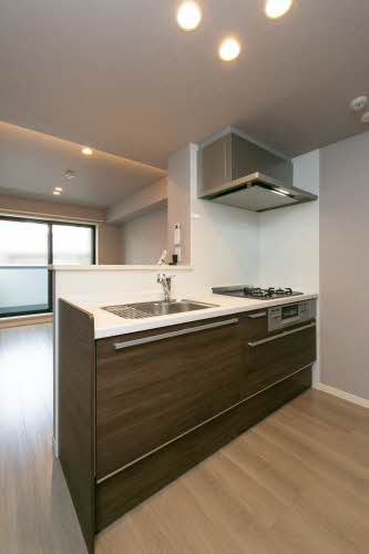 シャーメゾン　リュエル八戸ノ里 0205号-9