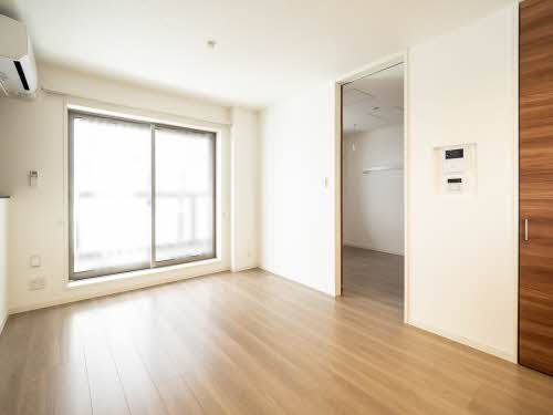 Ｓｈａｍａｉｓｏｎ　Ｃｉｔｒｕｓ 0401号-2