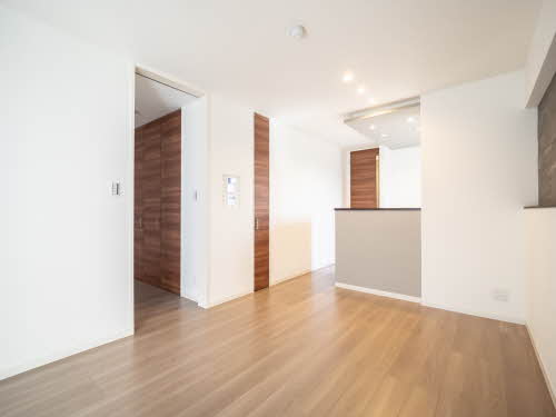 Ｓｈａｍａｉｓｏｎ　Ｃｉｔｒｕｓ 0401号-3