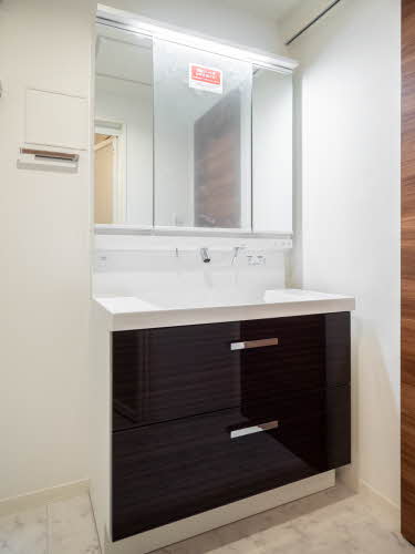 Ｓｈａｍａｉｓｏｎ　Ｃｉｔｒｕｓ 0401号-6