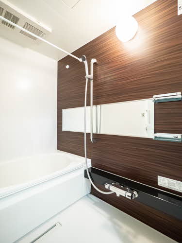 Ｓｈａｍａｉｓｏｎ　Ｃｉｔｒｕｓ 0401号-7