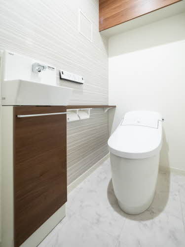 Ｓｈａｍａｉｓｏｎ　Ｃｉｔｒｕｓ 0401号-8