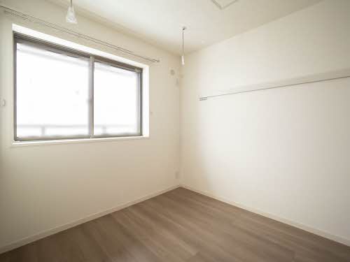 Ｓｈａｍａｉｓｏｎ　Ｃｉｔｒｕｓ 0401号-9