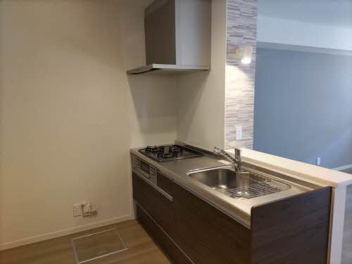 メゾン　ジーニャ 0102号-3