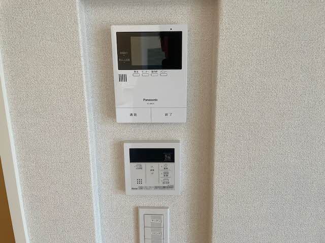 Ｒａｆｆｉｎａ　Ｓａｗａ 0201号-9