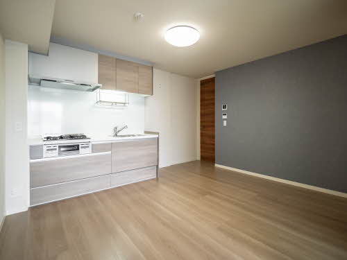 Ｐｌａｃｉｄｅ　Ｋ 0307号-2