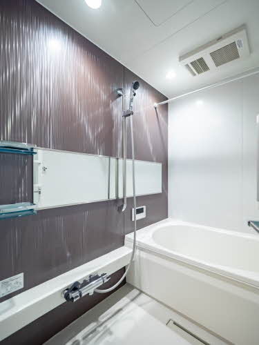 Ｐｌａｃｉｄｅ　Ｋ 0307号-7