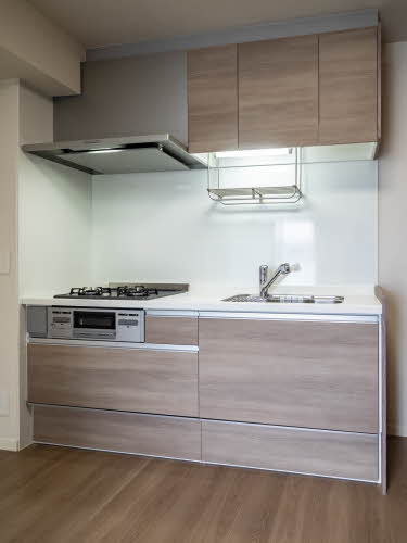 Ｐｌａｃｉｄｅ　Ｋ 0307号-8