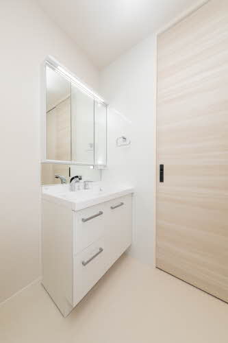 スカイヴィラ聖徳 0103号-7