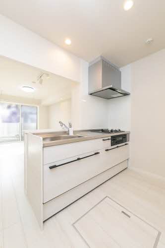 スカイヴィラ聖徳 0103号-9