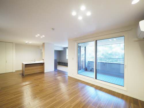 ビレッジズ（Ｔｈｅ　Ｖｉｌｌａｇｅｓ）シャーメゾン 0017号-2