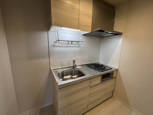 冬青コート 0303号-4