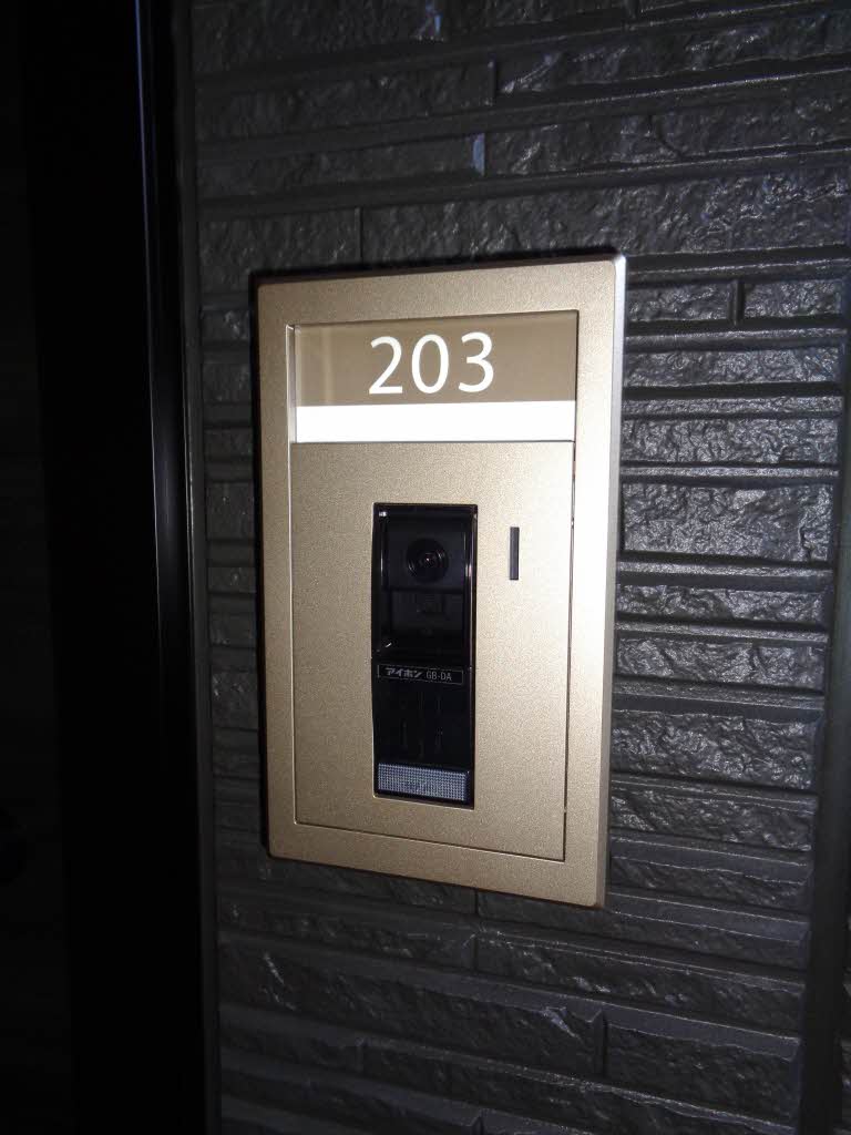 ルミエール　平井 0203号-11