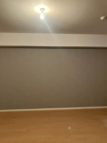 ＭＳ　Ｓｈａｍａｉｓｏｎ 0102号-10