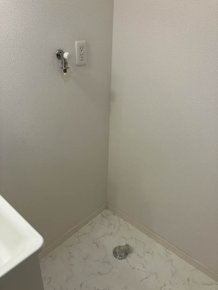 MS Shamaison 0103号-6