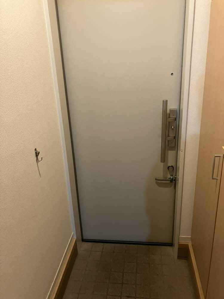 MS Shamaison 0103号-12