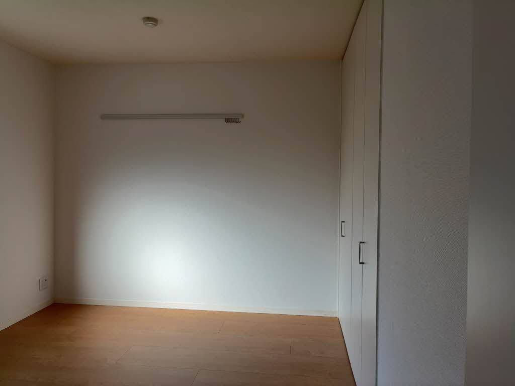 ＭＳ　Ｓｈａｍａｉｓｏｎ 0205号-12