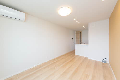 ＳｈａＭａｉｓｏｎ　Ｔ．Ｓ 0201号-2