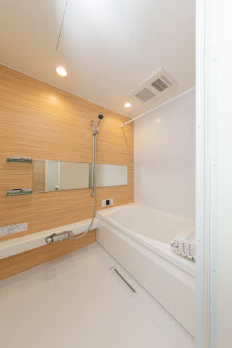 ＳｈａＭａｉｓｏｎ　Ｔ．Ｓ 0201号-6