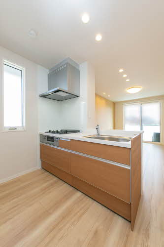 ＳｈａＭａｉｓｏｎ　Ｔ．Ｓ 0201号-7